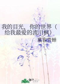《我的目光,你的世界(給我最愛的流川楓)》