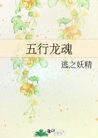《五行龙魂》