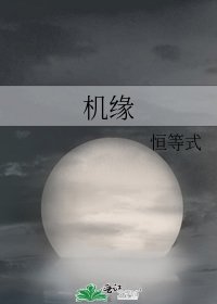 《机缘》