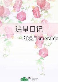 《追星日記》