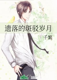 《遗落的斑驳岁月》