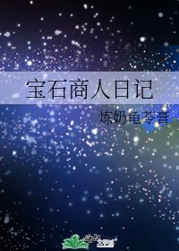 《寶石商人日記》