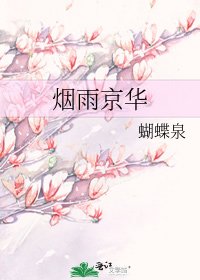 《煙雨京華》