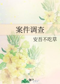 《案件调查》