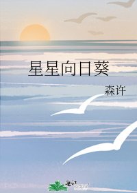 《星星向日葵》