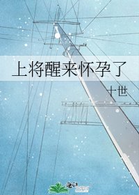 《上將醒來懷孕了》