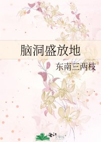 《腦洞盛放地》