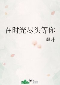 在时光尽头等你