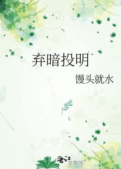 《弃暗投明》