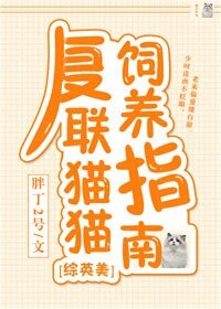 （BG/综英美同人）复联猫猫饲养指南[综英美]