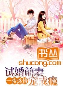 《一夜迷情:試婚前妻寵成癮》